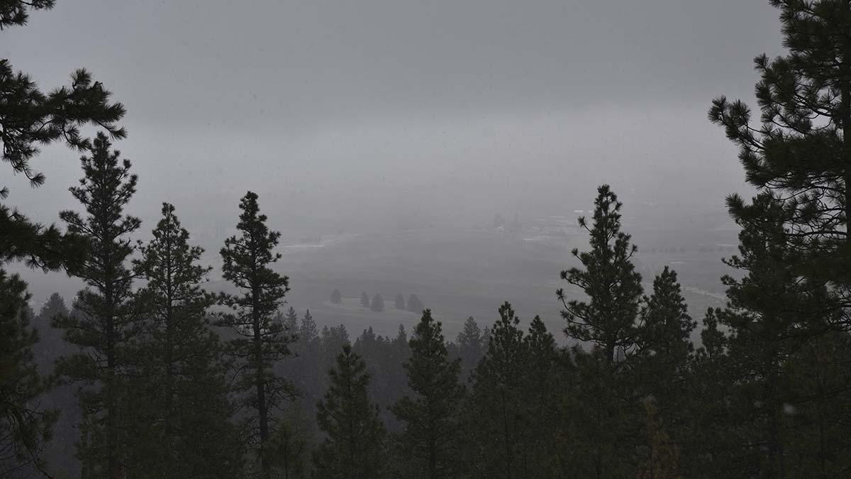 fog on the palouse