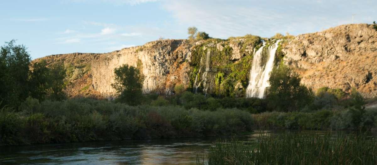 A waterfall over a cliff with plants and a stream at the bottom.