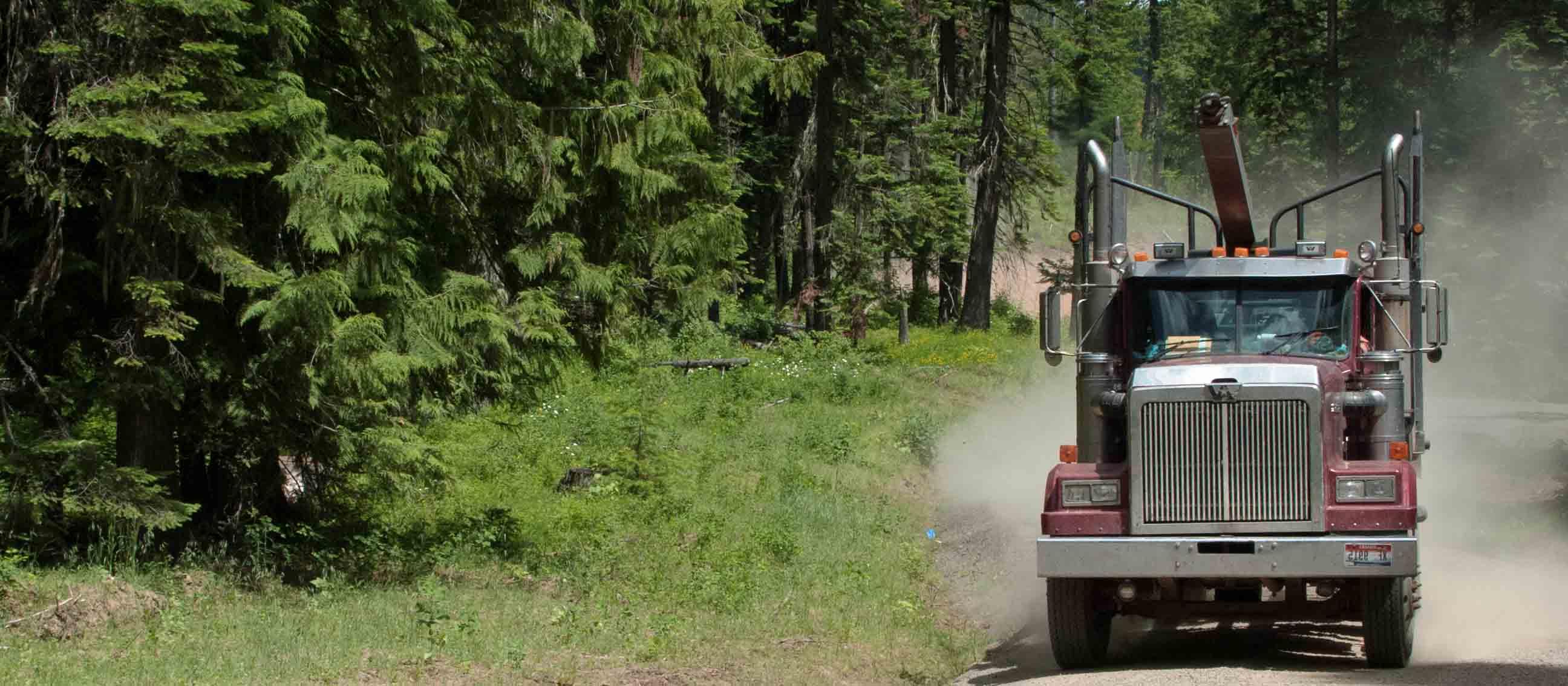 森林道路上的原木卡车