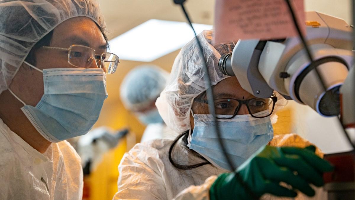 A research professor and student working in microelectronics lab.